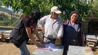 Hamamözü’nde Arılarla Bereketli Sezon Başladı