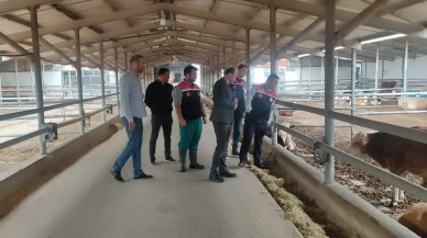 Suluova’da Hayvancılığa Katma Değer Katan Ziyaret