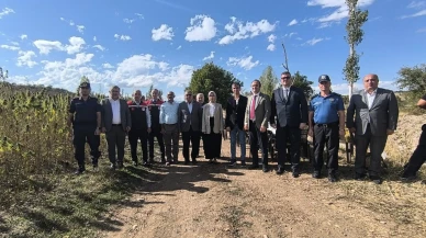 Hamamözü’nde Kenevir Bereketi!