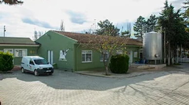 Amasya DSYB’den Yeni Başarı