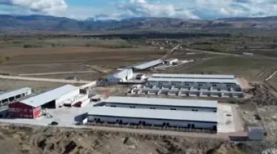Amasya’nın Et Üretim Üssü Büyüyor!