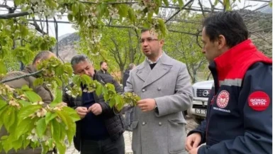 Amasya’da Zirai Don Desteği Ödemeleri Başladı
