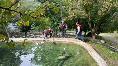 Amasya’da Alabalık Üretim Tesislerinde Denetimler Sürüyor