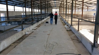 Suluova TDİ Besi OSB’de 386 Milyon TL’lik Yatırım Devam Ediyor