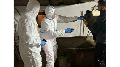 Merzifon’da Şap Hastalığına Karşı Mücadele