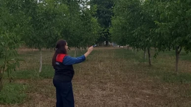 Amasya’da Tarımsal Arazi Vasıf Değişikliği İşlemleri Devam Ediyor