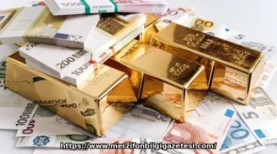 20 Kasım 2025 Döviz ve Altın Piyasalarında Son Durum