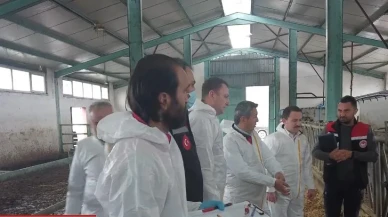 Amasya’da Ari İşletme Süreci Yerinde İncelendi