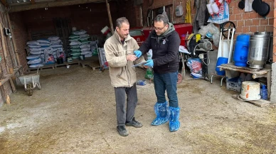 Köyümde Yaşamak İçin Bir Sürü Nedenim Var