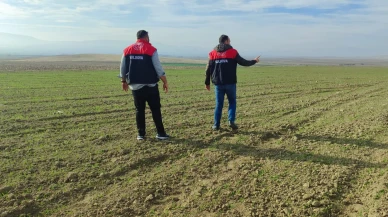 Suluova’da Buğday Çıkışı Denetlendi