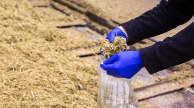 Amasya DSYB’de TMR Karma Yem Çalışmaları Aralıksız Sürüyor