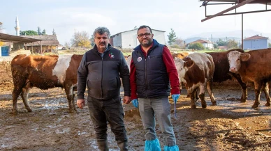 Köyümde Yaşamak İçin Bir Sürü Nedenim Var