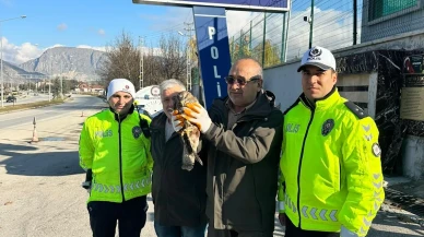 Amasya Emniyet Ekiplerinden Yaban Hayatına Duyarlı Müdahale