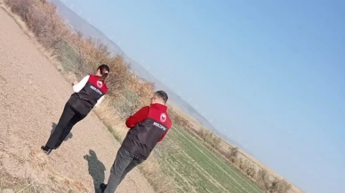 Merzifon’da Araziler Tek Tek Tespit Ediliyor