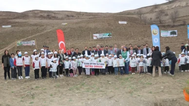 Taşova’da Geleceğe Nefes: Kaymakam Öğrencilerle Fidan Dikti