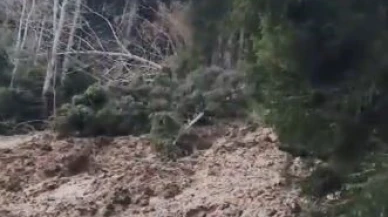 Artvin’de heyelan ormanı yerle bir etti, köy yolunu ulaşıma kapattı