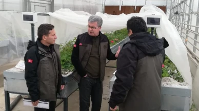 Özer, Tokat Orman Fidanlığı’nda Üretim Çalışmalarını İnceledi