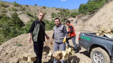 Taşova’da Ormanların Koruyucu Kuşları İçin Yüzlerce Yuva Asıldı