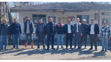 Göynücek'te Don Vurgunu: Tarım Yetkilileri Tarlalarda İnceleme Yaptı