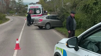 Sokak köpeklerine çarpmamak için kaza yaptı: 2 yaralı
