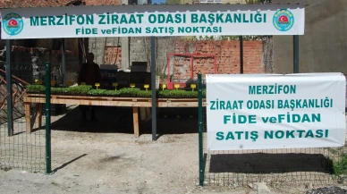 Merzifon Ziraat Odası’ndan Üreticiye Destek: Fide Satışları Başladı