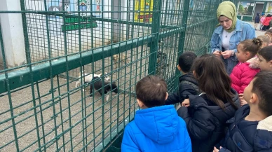 Minik Öğrencilerden Can Dostlara Sevgi Dolu Ziyaret