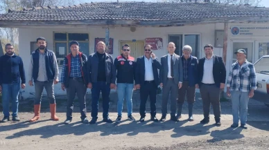 Göynücek'te Don Vurgunu: Tarım Yetkilileri Tarlalarda İnceleme Yaptı