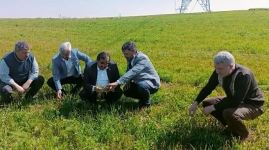 AK Partili Heyet, Zirai Dondan Etkilenen Köyleri Ziyaret Etti