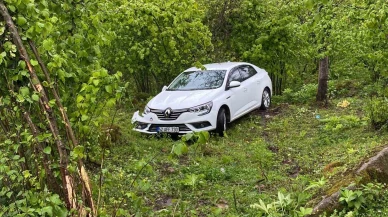 Otomobil fındık bahçesine uçtu