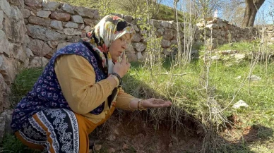 Türbenin toprağını yiyerek dua ediyorlar