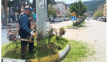 Taşova’da Yabani Otlara Karşı Temizlik Seferberliği