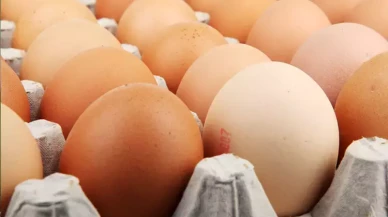 Rüyada Yumurta Görmek Ne Anlama Gelir? İşte Yumurta Kırmak, Toplamak ve Yemekle İlgili Rüya Yorumları