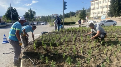 Suluova Belediyesi’nden Lise Kavşağı’na Renkli Dokunuş