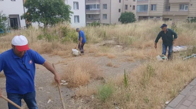 Amasya Belediyesi’nden Çevre Temizliği Çağrısı: “Temiz Şehir, Sağlıklı Gelecek”
