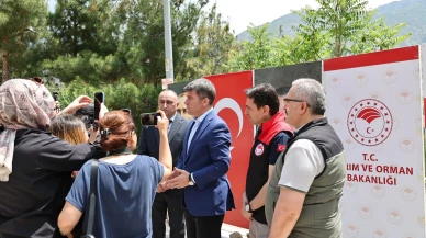Amasya’da 3.000 Samuray Arısı Doğaya Salındı