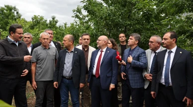 Amasya'da Zirai Donun Etkileri İncelendi, Çiftçilere Destek Sözü Verildi
