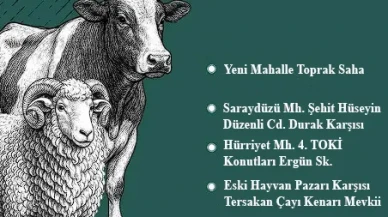 Suluova Belediyesi’nden Kurban Atıkları İçin Uyarı: Belirlenen Noktalara Dikkat!