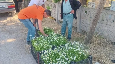 Gümüşhacıköy Belediyesi’nden Bayramda Anlamlı Jest: Mezarlıklarda Ücretsiz Çiçek Dağıtımı Yapıldı