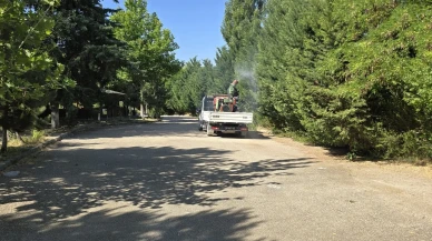 Suluova Belediyesi’nden Yedikır’da Haşerelere Karşı Etkin Mücadele