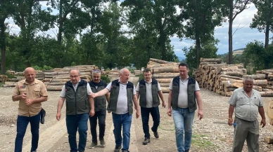 Bafra’da Orman Emvali Depolarında Sıkı Denetim: Üretimde Kalite ve Katma Değer Vurgusu