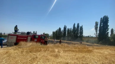 Yine Çavundur, Yine Yangın! İtfaiyeden Hızlı Müdahale