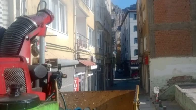 Amasya’da Yaz Temizliği: Hedef Sinek Yuvaları