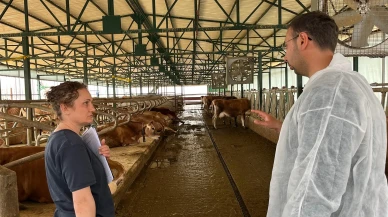 Amasya Damızlık Sığır Yetiştiricileri Birliği'nden İşletme Güncelleme Çalışmaları