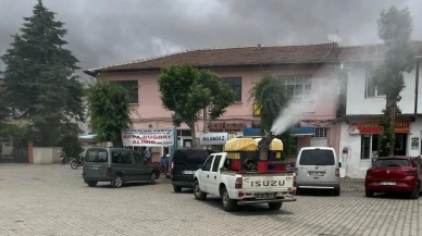 Merzifon’un Köylerinde Haşereyle Mücadele Sürüyor