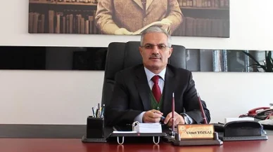 Mini Mini Birler İçin Ders Zamanı!
