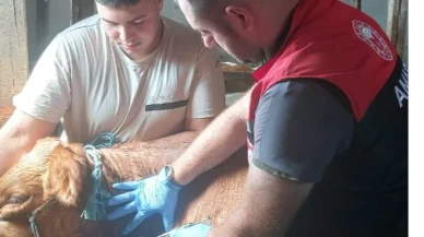 Amasya’da Tüberkülozla Mücadele Çalışmaları Titizlikle Sürdürülüyor