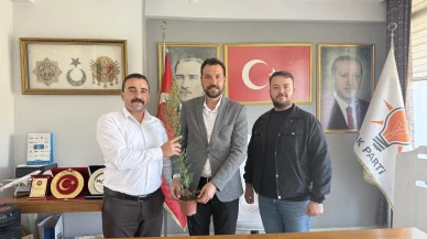 Merzifon’da Dayanışmanın Yeşil Sembolü