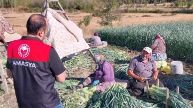 Amasya’da Çiftçilere Tarımsal Destek ve Üretim Planlaması