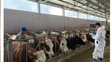 Amasya’da Güvenli Üretim Hamlesi