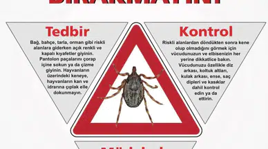 Amasya İl Sağlık Müdürlüğü’nden Hayati Kene Uyarısı